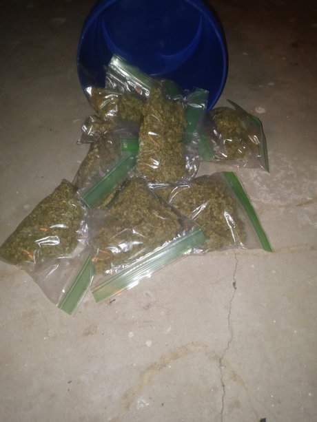 Honcho7414 xxx pornstar image