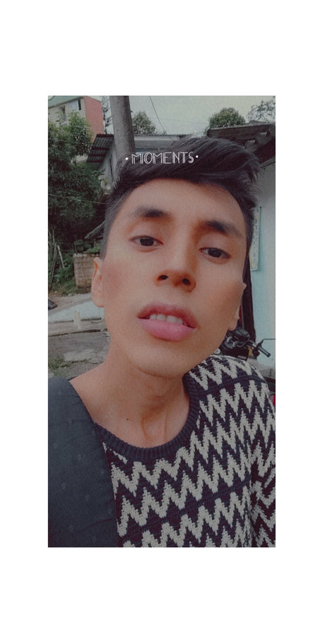 Parcerito model art pic