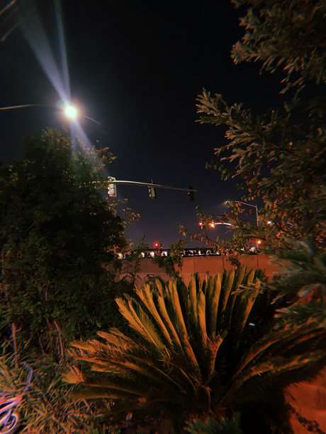 life uck_ pornographic star galleries