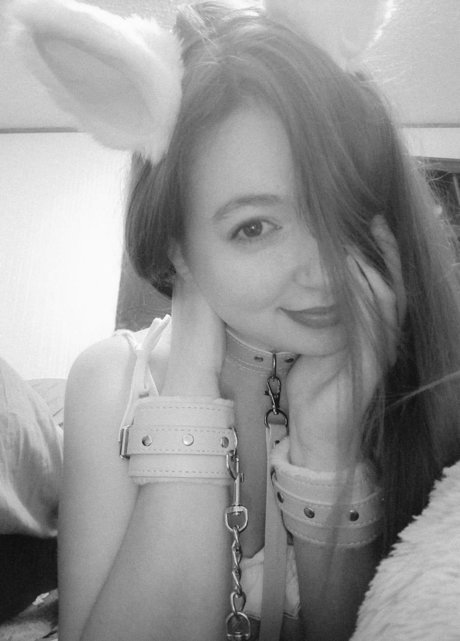 MeowShy hd star picture