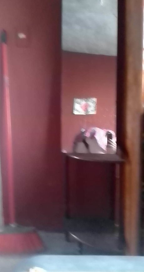 Mibidaesunmeme model high quality archive