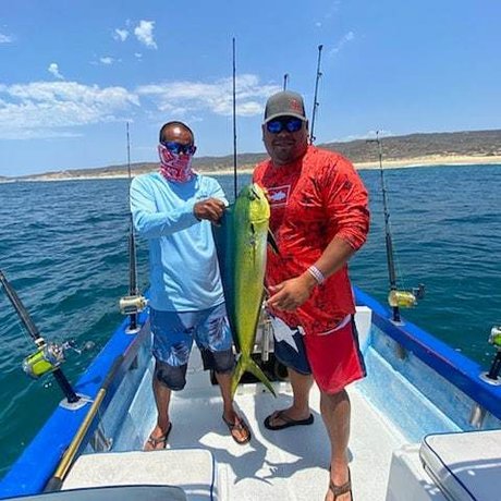 Mescan nice star gallery