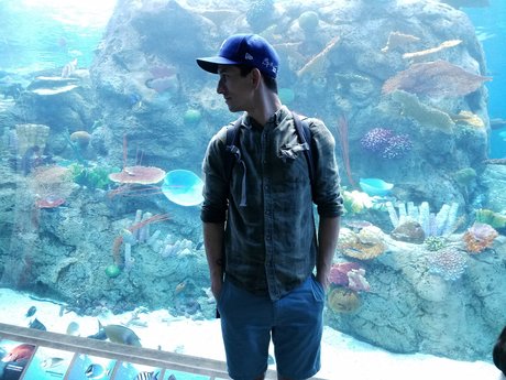 Intmanofmystery star pictures