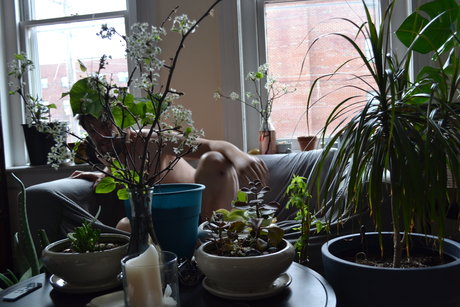 brucedickhamster19 top model img