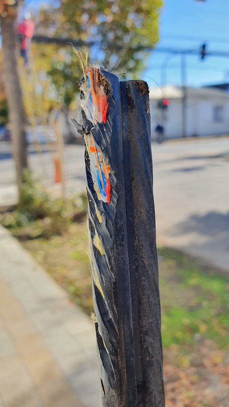 GhostVIIII star pretty galleries