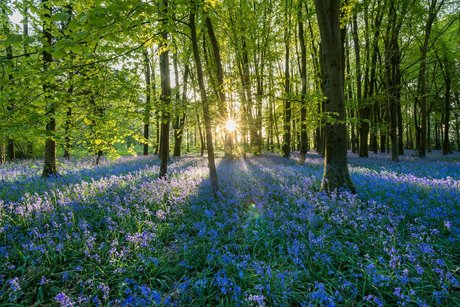 PersephonesPeach model porn photos