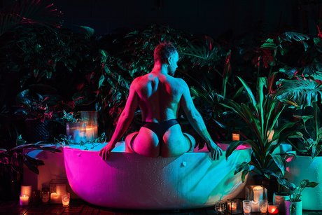 perthbearCUB model xxx img