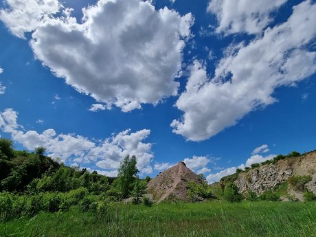 Najwi kszy Fan top actress photo