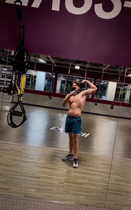 the Italian stallion star free picture