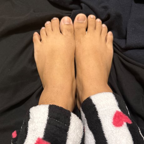 Bris star high quality photos