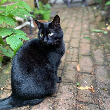 Oakley beautiful model image