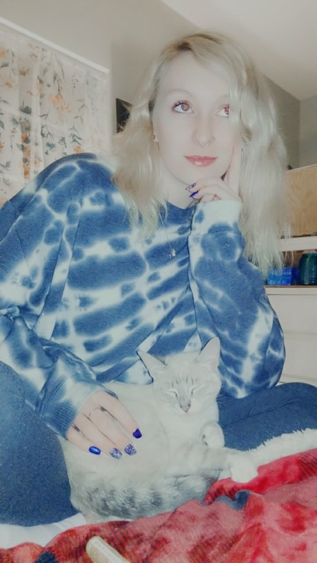 Kaysey pornstar galleries