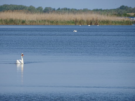 It is real_ nudes pornstar pics