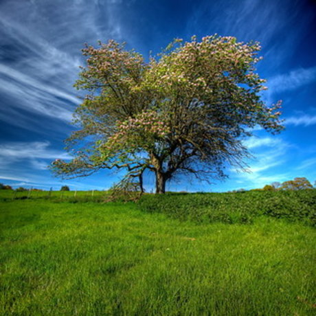 Lucifer amp amp Eve porn star picture