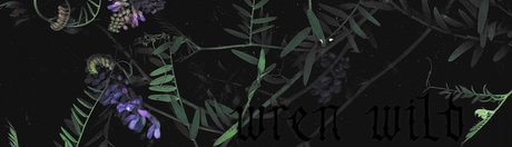 Wren Wild erotic star img