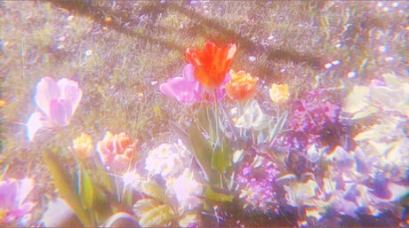 Tiffany Riker pretty model pictures