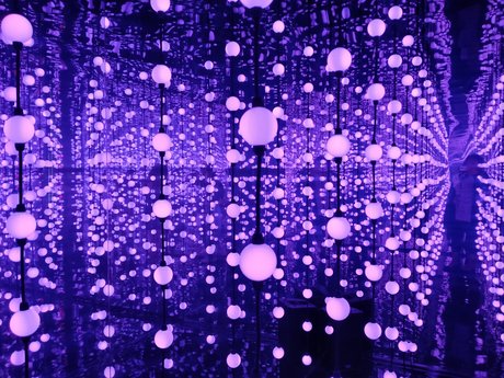 NSFW BWW Miss Piggy free star image