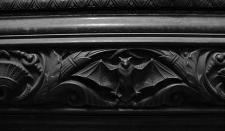 Opal Steel star top photo