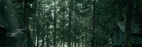 F bio Nokis xxx actress picture