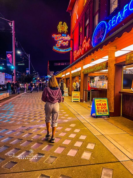 ShaneShane star pornographic pics