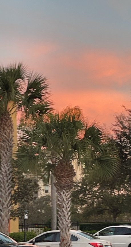 Mandi Yates adult star picture