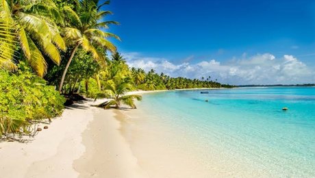 BURCU AKTAS star naked pics