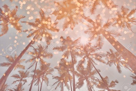 BigLips pornstar nude img