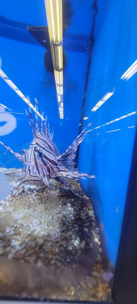 Contractor star nude galleries