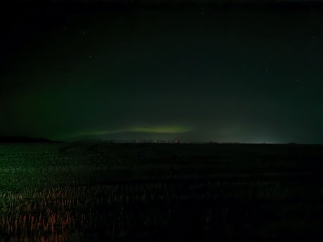 WolfeMan adult model galleries