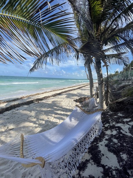 Cristy Mendivil sex star archive