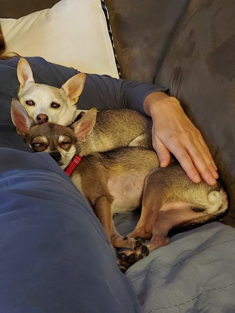 Pica amp amp Kelly exclusive model gallery