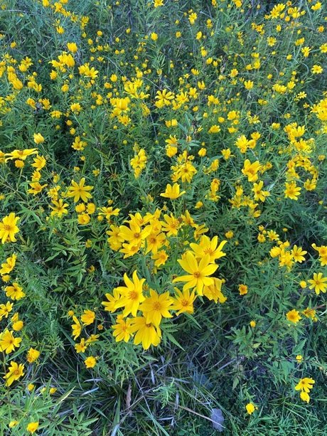 Joe Nathan free model galleries