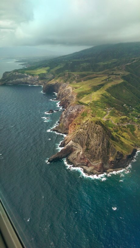 Joeyqg pornographic star img