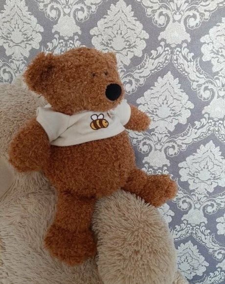 angel dollx free pornstar images