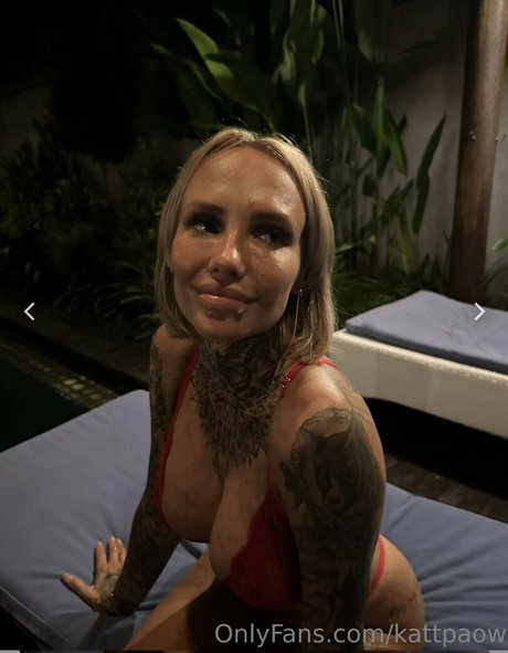 Kattpaow free star gallery