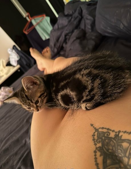 aylachoo free model gallery