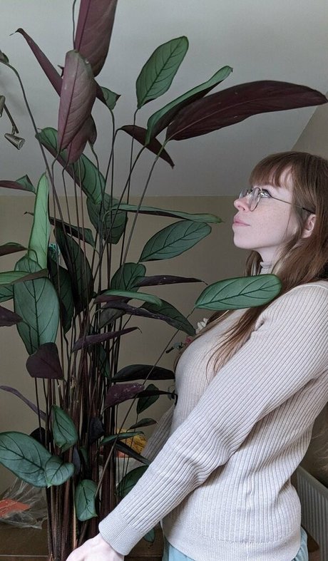 Bat Maisie star xxx image