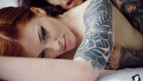 Annalee hd star galleries