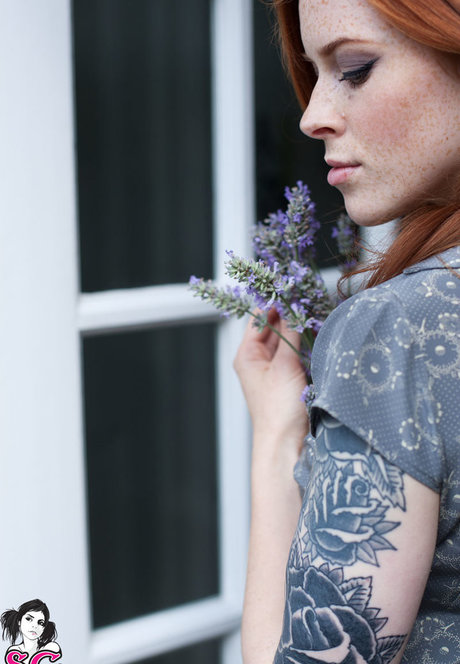 Annalee star nice picture