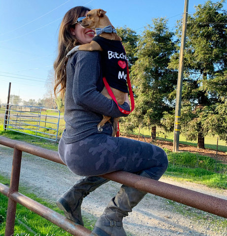 mrsbellecakes free star gallery