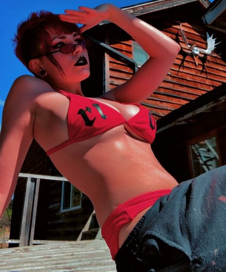 ashpit model beautiful archive