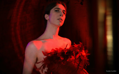 sophieladder top star photo