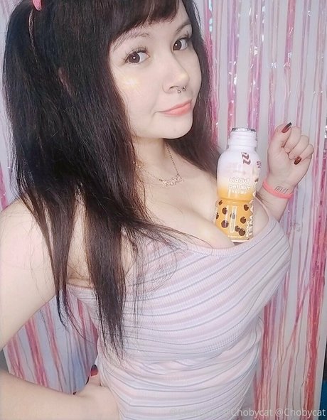 chobycat free star archive