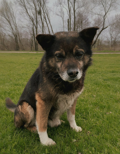 anast ass11 free star pic