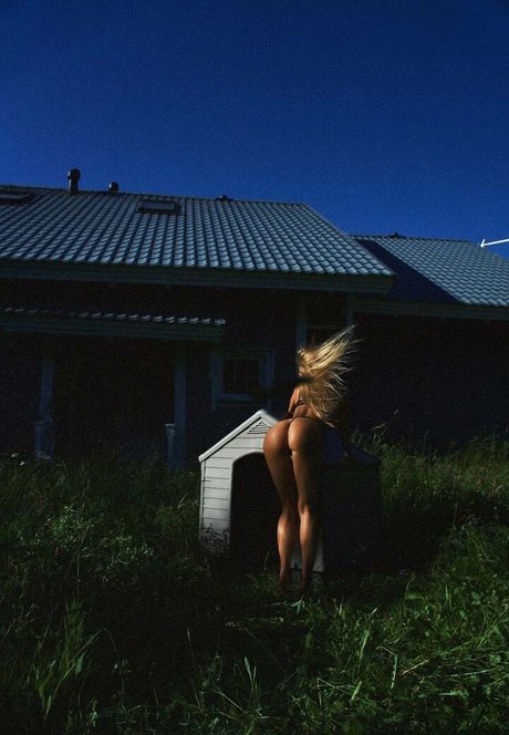 Gubernatar star hot img