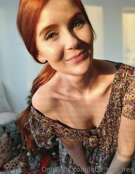 little bee free pornstar free archive