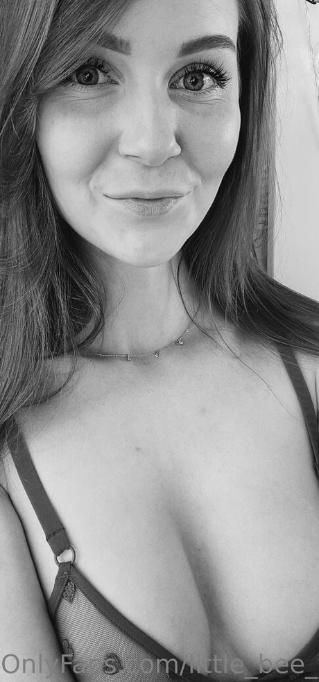 little bee free nice star image