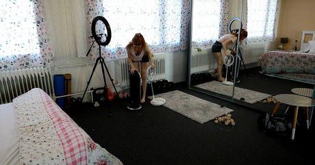 little bee free exclusive star images