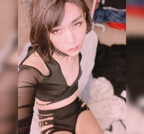 rrfoxfree hd star photo