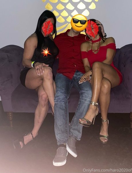 haro2020of pornstar top img